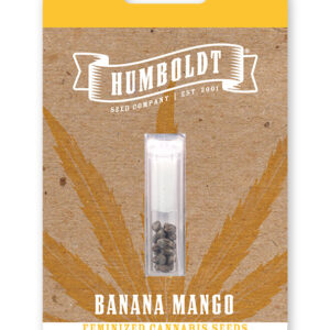 BANANA MANGO FEMINIZADA.jpg