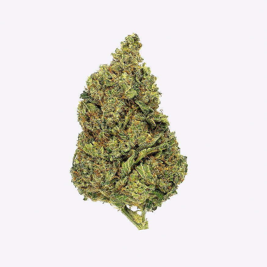 GORILLA GRILLZ FLORES CBD 1.jpg