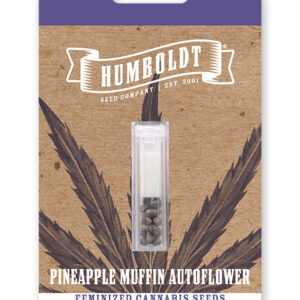 PINEAPPLE MUFFIN AUTO.jpg