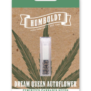 DREAM QUEEN AUTO.jpg