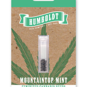 MOUNTAINTOP MINT FEMINIZADA.jpg