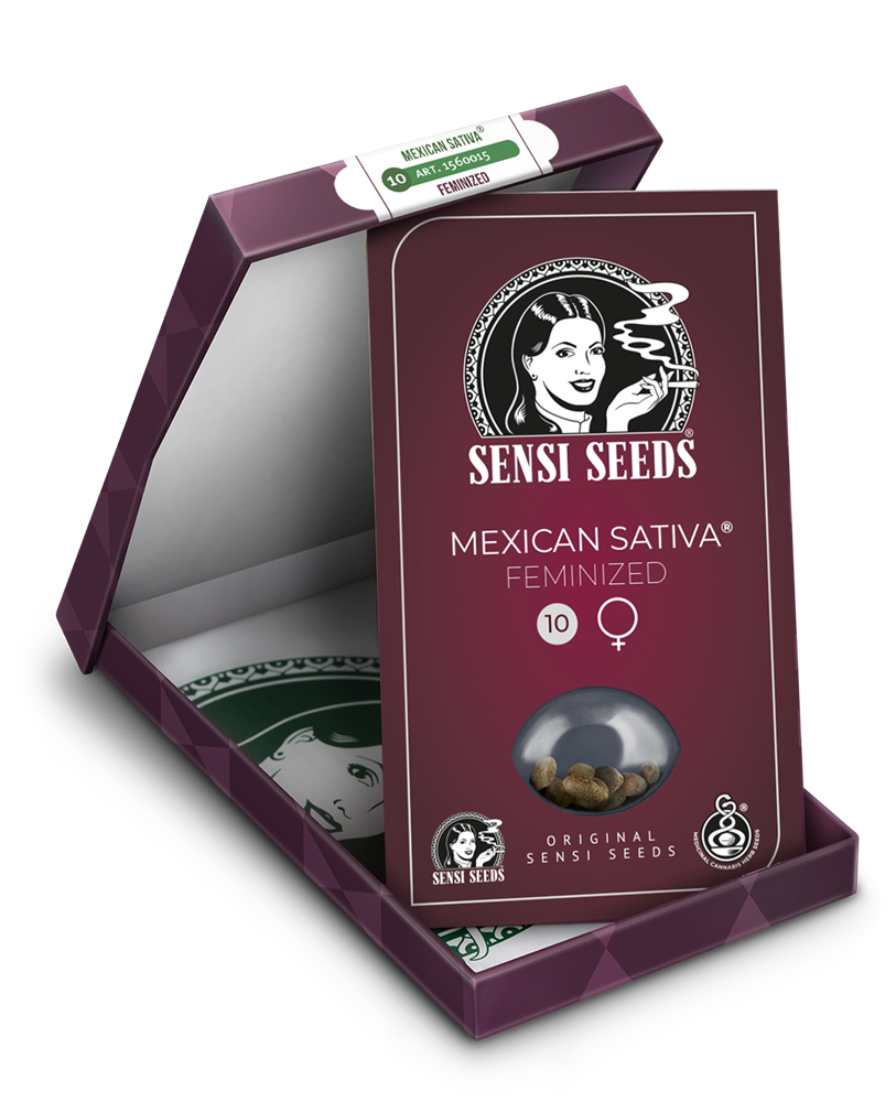 mexican-sativa-feminizada-xl-5.png