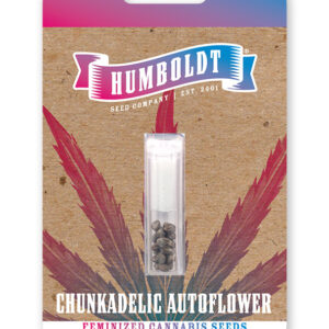 CHUNKADELIC AUTO.jpg