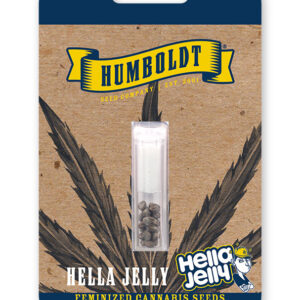 HELLA JELLY FEMINIZADA.jpg