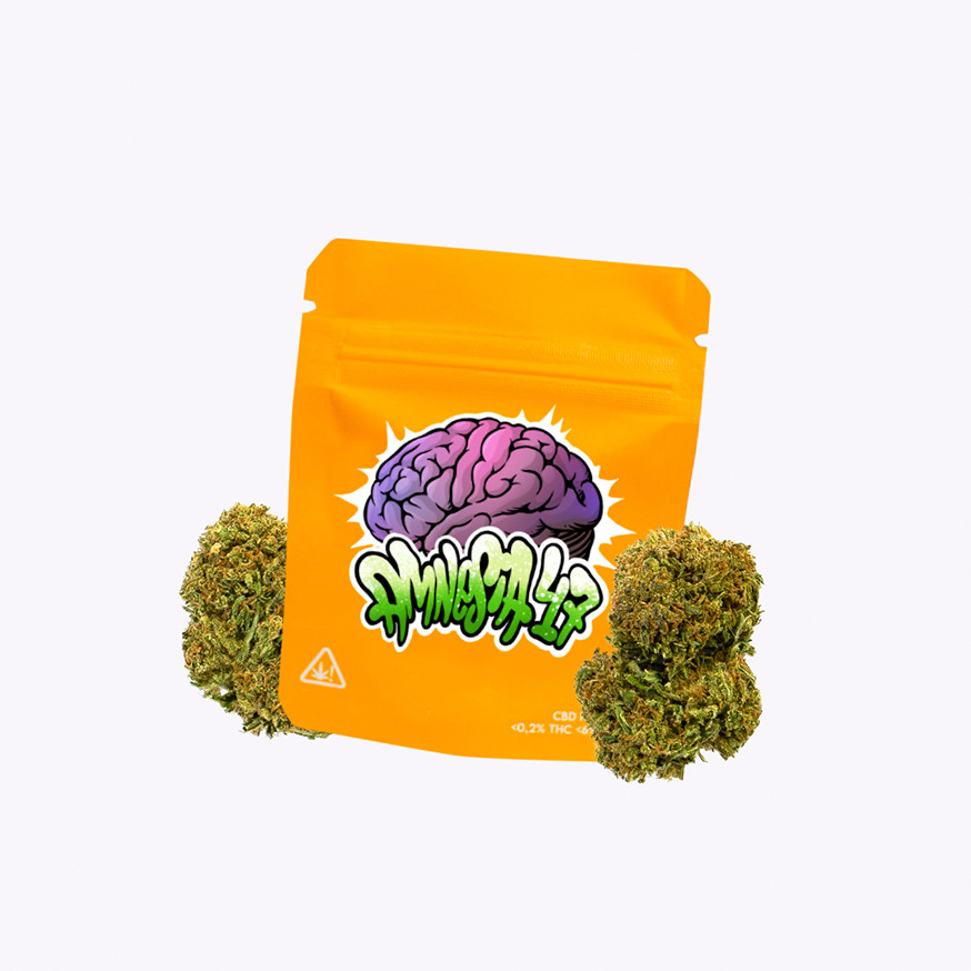 AMNESIA 47 FLORES CBD.jpg