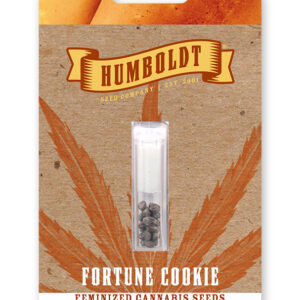 FORTUNE COOKIE FEMINIZADA.jpg