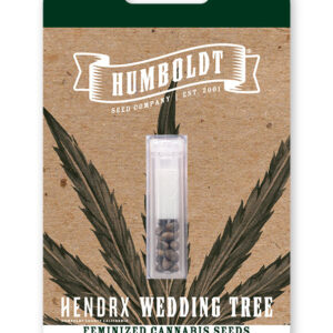 WEDDING TREE FEMINIZADA.jpg