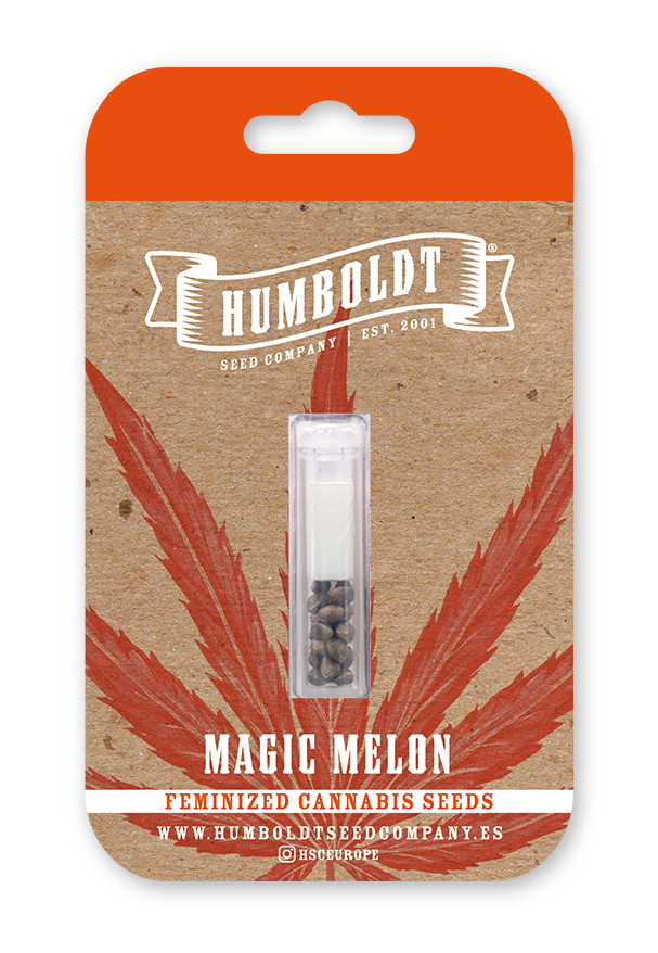 MAGIC MELON FEMINIZADA.jpg