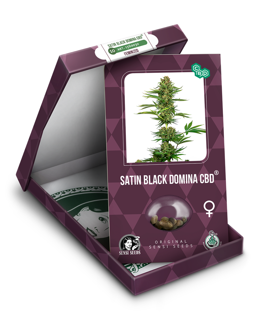 satin-black-domina-cbd-feminizadas-xl-3.png
