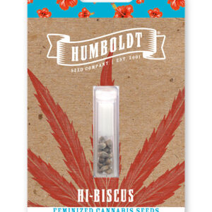 HI-BISCUS FEMINIZADA.jpg